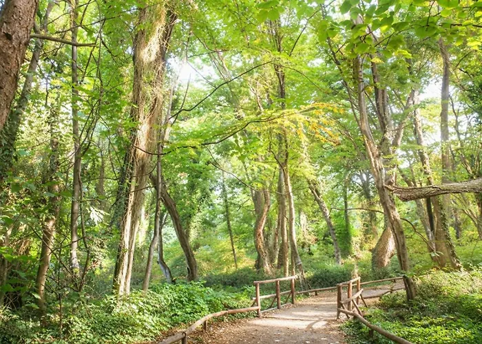 Апартаменты Seaside Nest